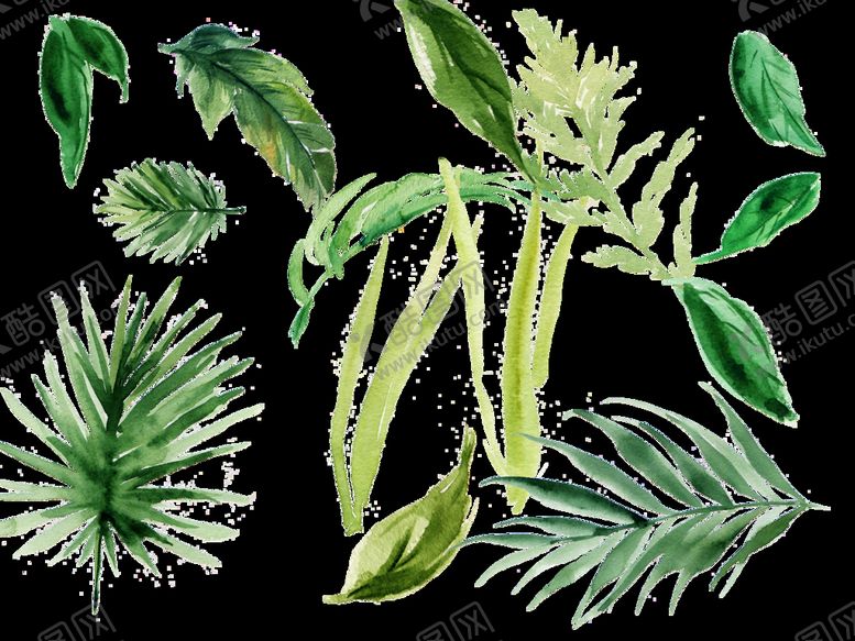 编号：29760109190605096794【酷图网】源文件下载-植物叶子