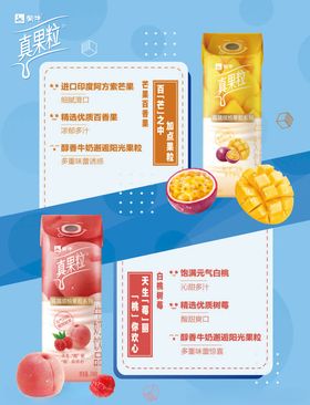 真果粒DM单背面