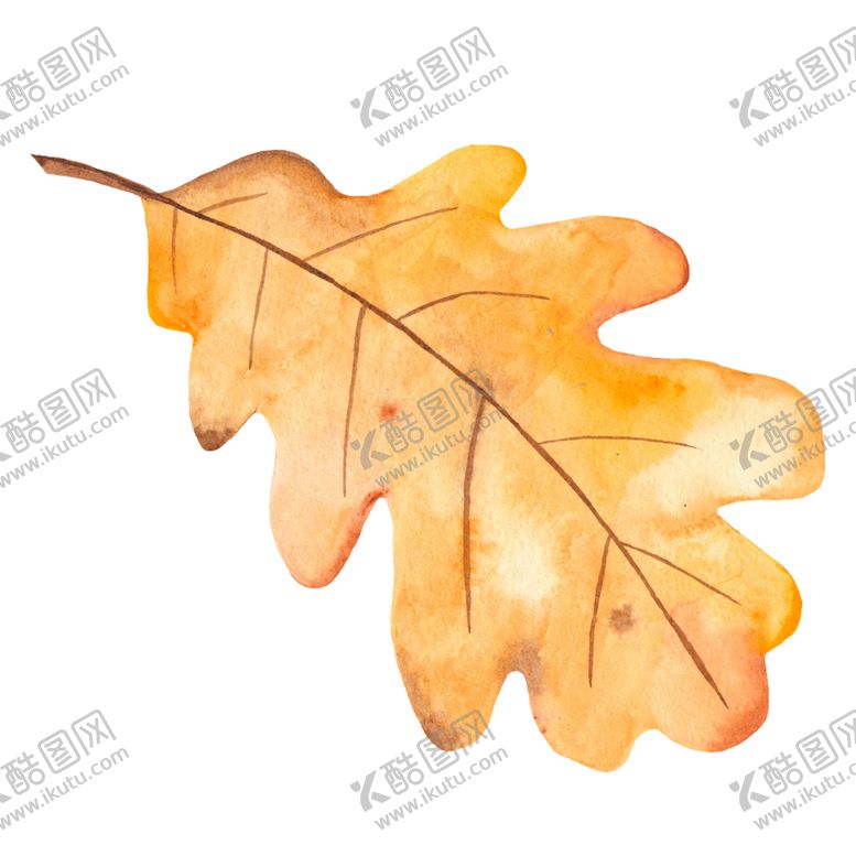 编号：76508510100946537445【酷图网】源文件下载-水彩叶子