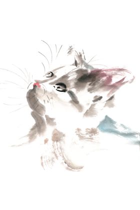 手绘猫