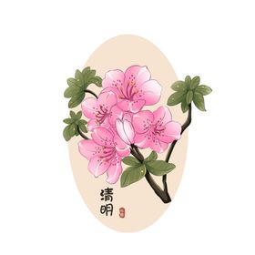 24节气杜鹃花