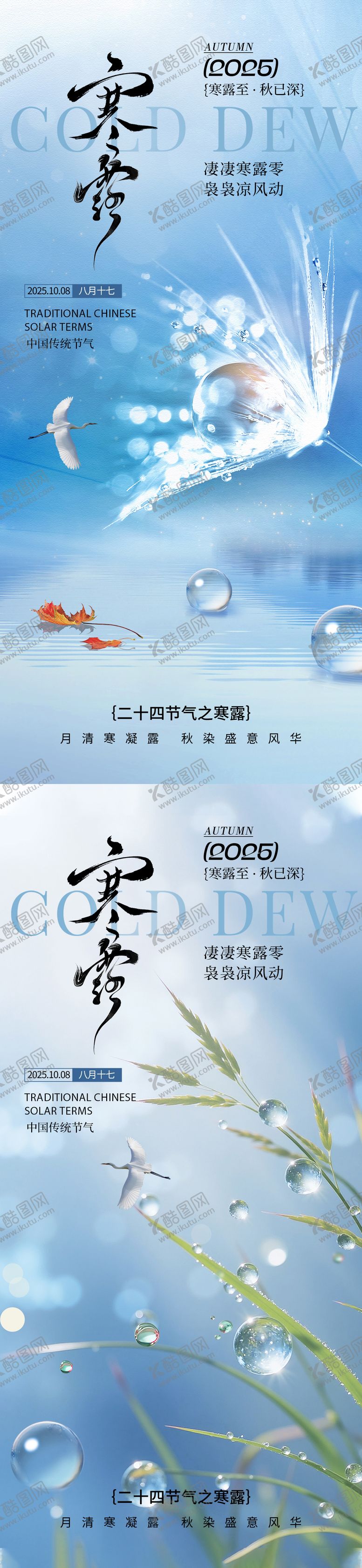 编号：17804209292020077297【酷图网】源文件下载-寒露海报