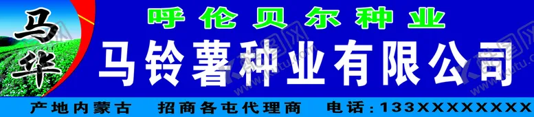 编号：04823109132143096713【酷图网】源文件下载-马铃薯销售牌匾批发高清