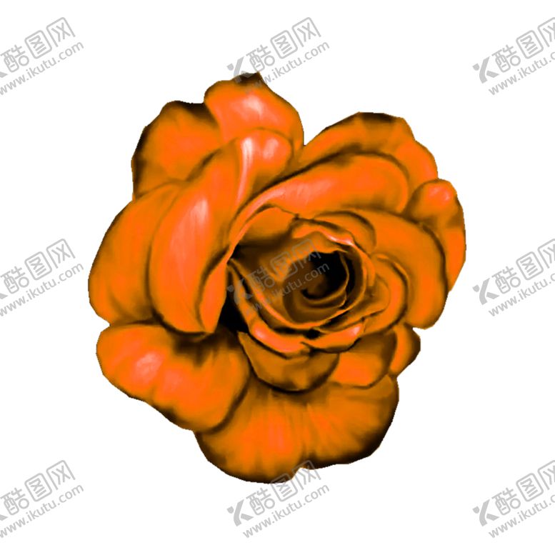 编号：39066110091239353544【酷图网】源文件下载-花素材