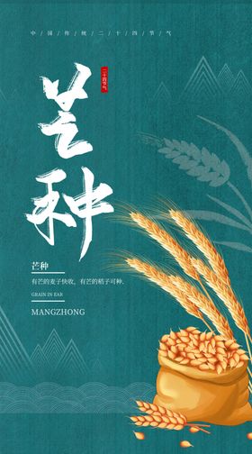 水墨质感芒种节气海报