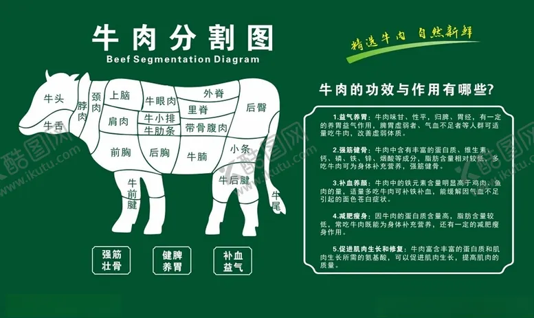 编号：38957501171040186683【酷图网】源文件下载-牛肉分割吃牛肉的好处