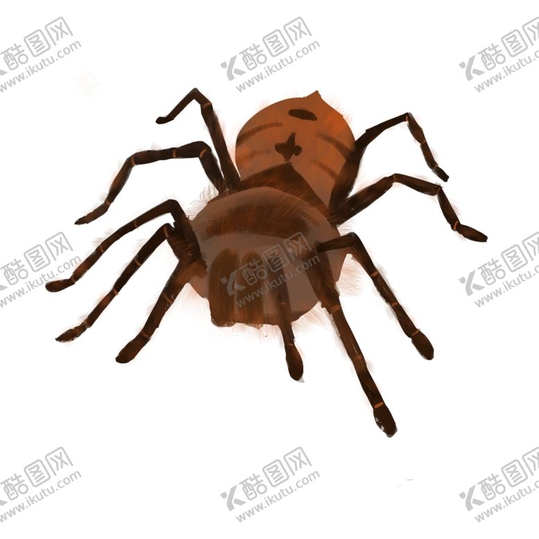 编号：29809203301732006745【酷图网】源文件下载-蜘蛛插画