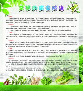 莴笋的病虫防治