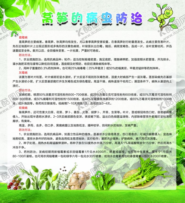 编号：69728007070124233495【酷图网】源文件下载-莴笋的病虫防治