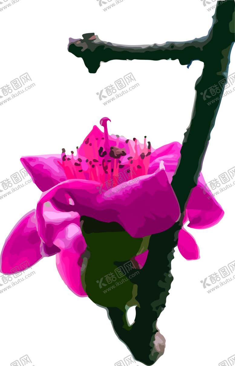 编号：38788809251055198339【酷图网】源文件下载-鲜花素材