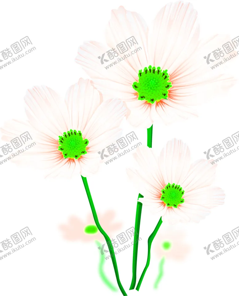 编号：97823806301047382887【酷图网】源文件下载-花素材