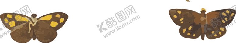 编号：38745809131607224564【酷图网】源文件下载-蝴蝶昆虫插画