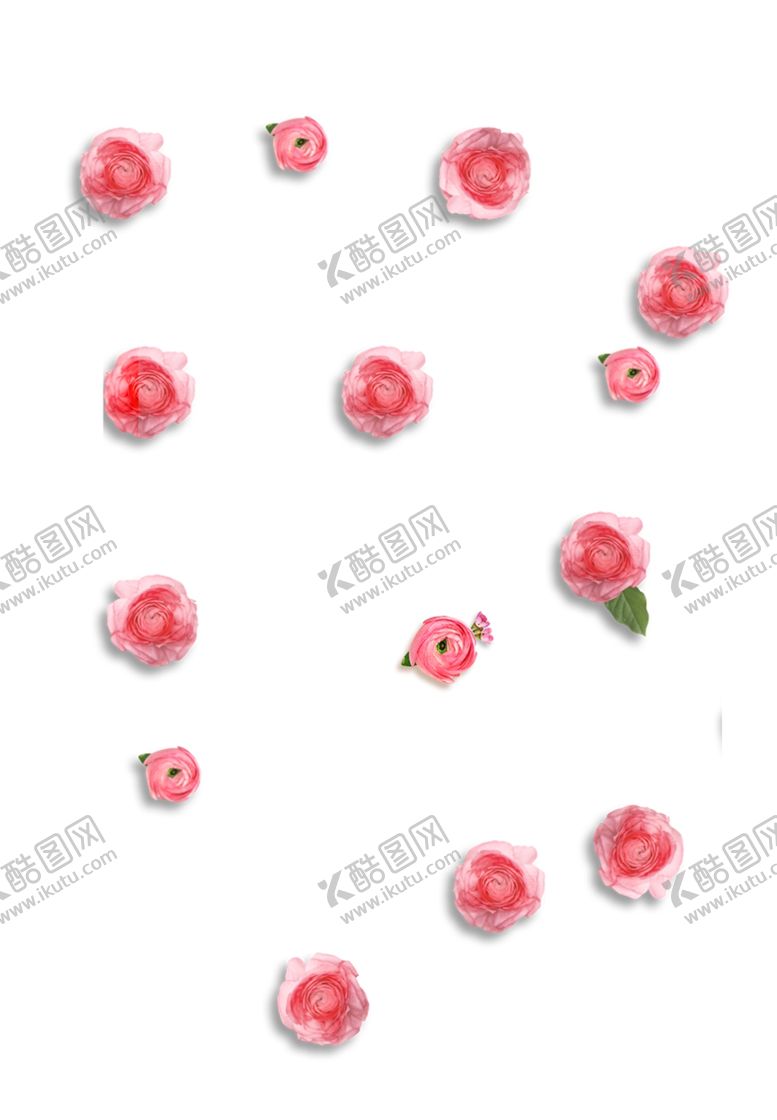 编号：41271710052318374199【酷图网】源文件下载-玫瑰花