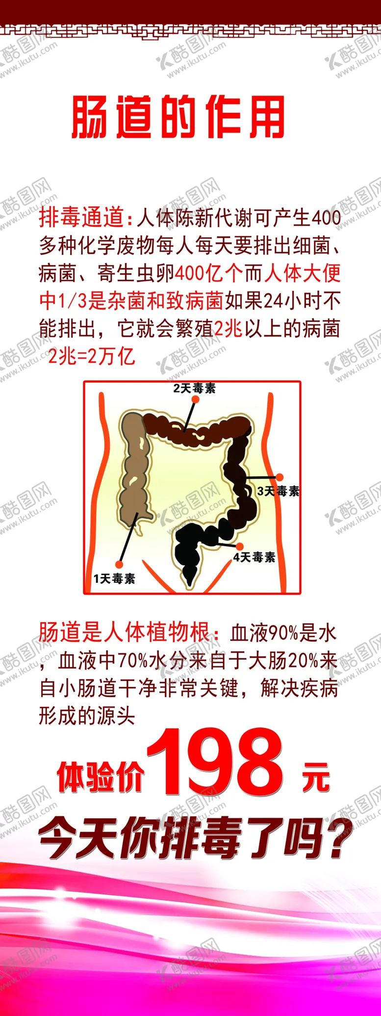 编号：52377004171305355851【酷图网】源文件下载-肠道的作用展架