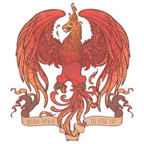 鸟儿