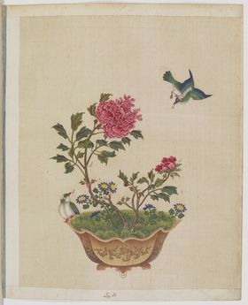 盆景花鸟