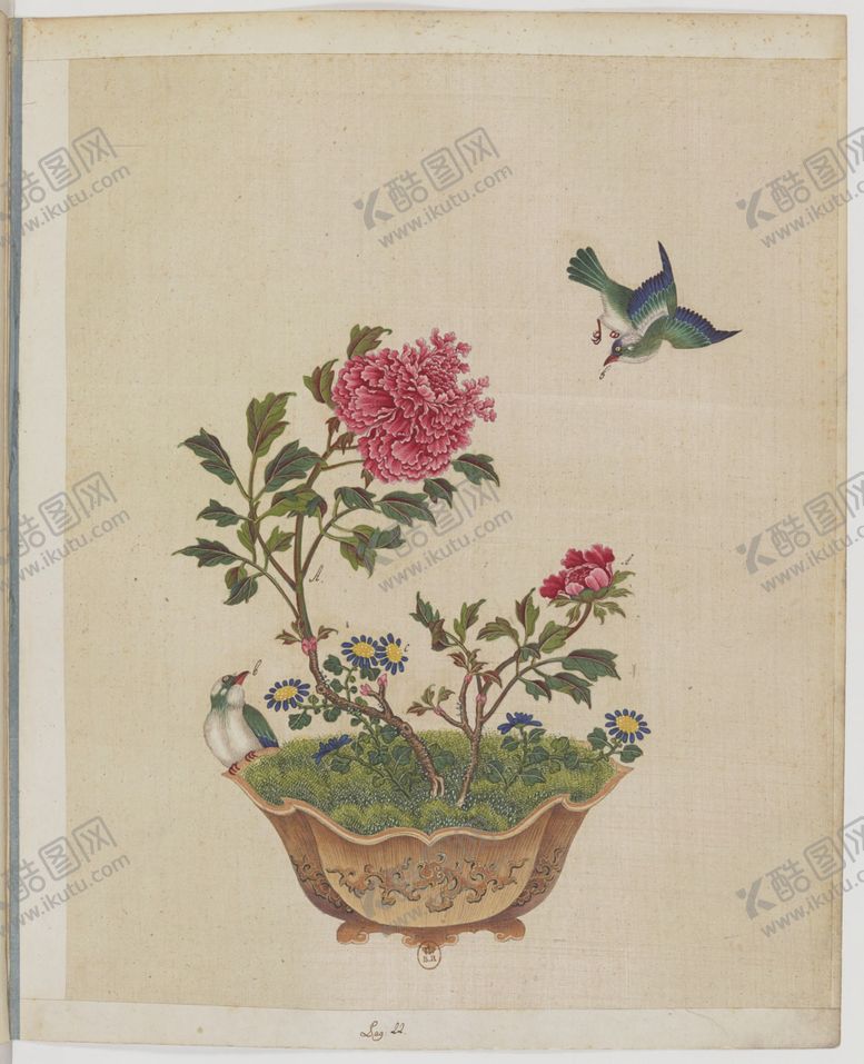 编号：21924106162032024317【酷图网】源文件下载-盆景花鸟