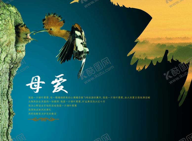 编号：31953907020457021010【酷图网】源文件下载-母爱