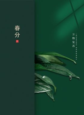 简约清新春分节气海报