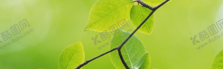 编号：86025810090537483193【酷图网】源文件下载-春天海报背景