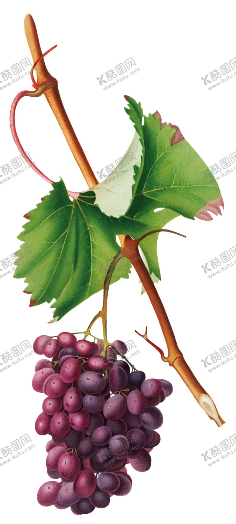 编号：53031812091835117573【酷图网】源文件下载-复古素材
