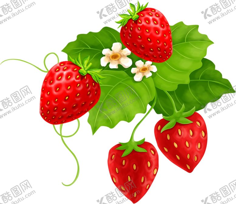 编号：20820310172232477977【酷图网】源文件下载-草莓