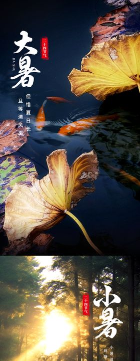 大暑海报二十四节气房地产夏天