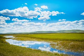 世界湿地日