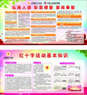 红十字运动基本知识宣传板
