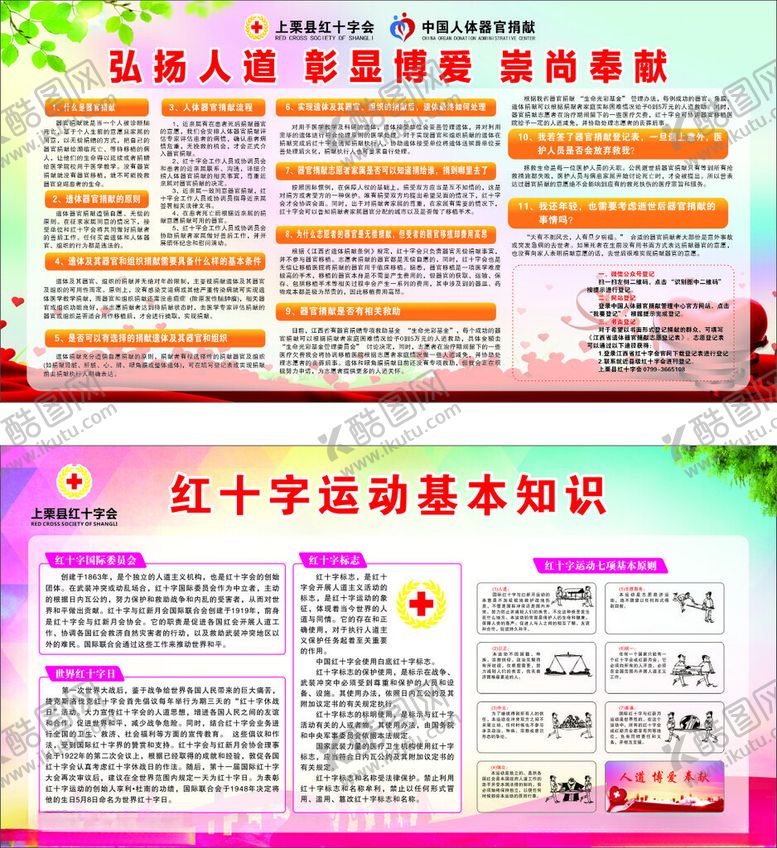 编号：13834405241527473754【酷图网】源文件下载-红十字运动基本知识宣传板