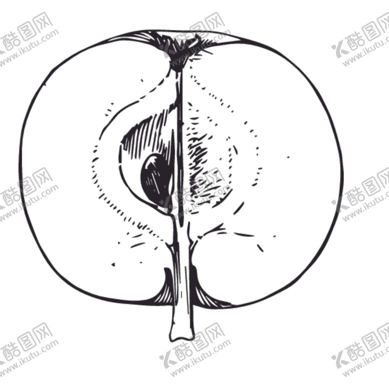 编号：39957410100127052440【酷图网】源文件下载-水果绘画线稿图案