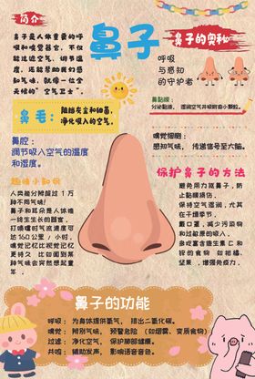 鼻子卡通介绍