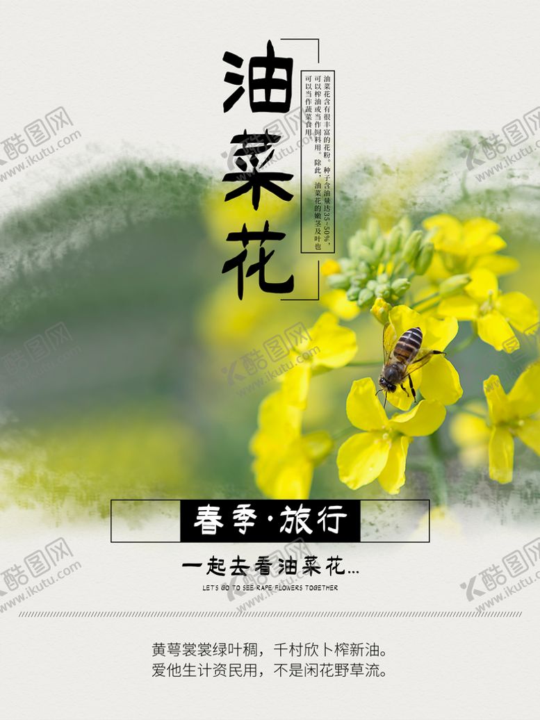 编号：08516709161712270467【酷图网】源文件下载-油菜花