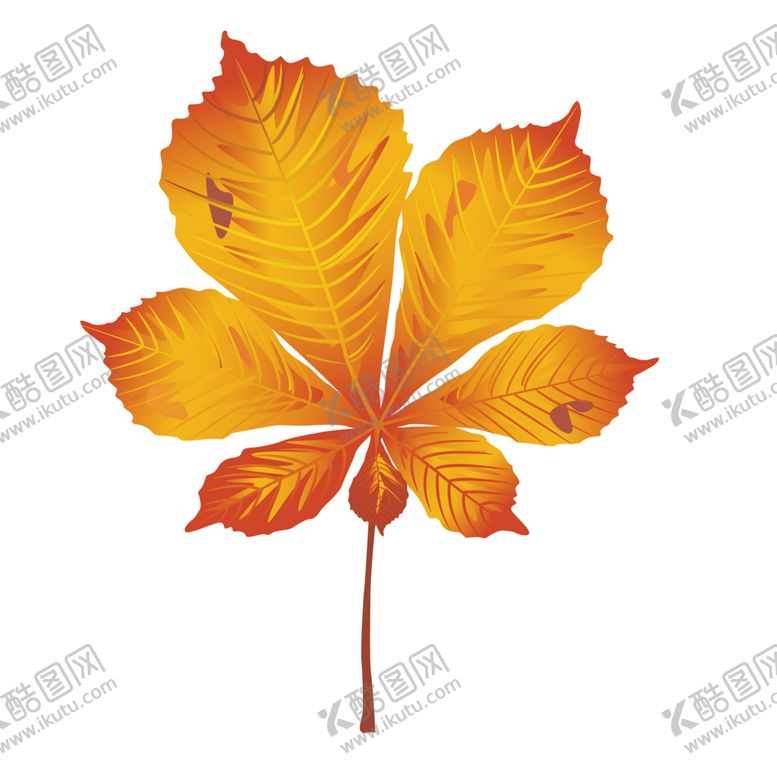 编号：62028310142109376154【酷图网】源文件下载-秋天素材