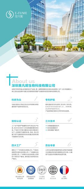 科技公司集团简介PPT