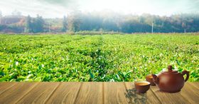 茶园茶壶绿色清新古风素材背景