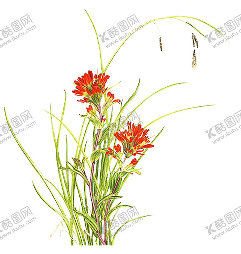 编号：77932310251428015959【酷图网】源文件下载-火焰素材