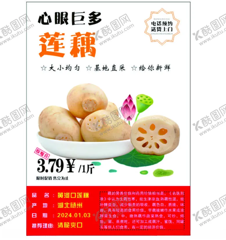 编号：83165102131737164243【酷图网】源文件下载-莲藕