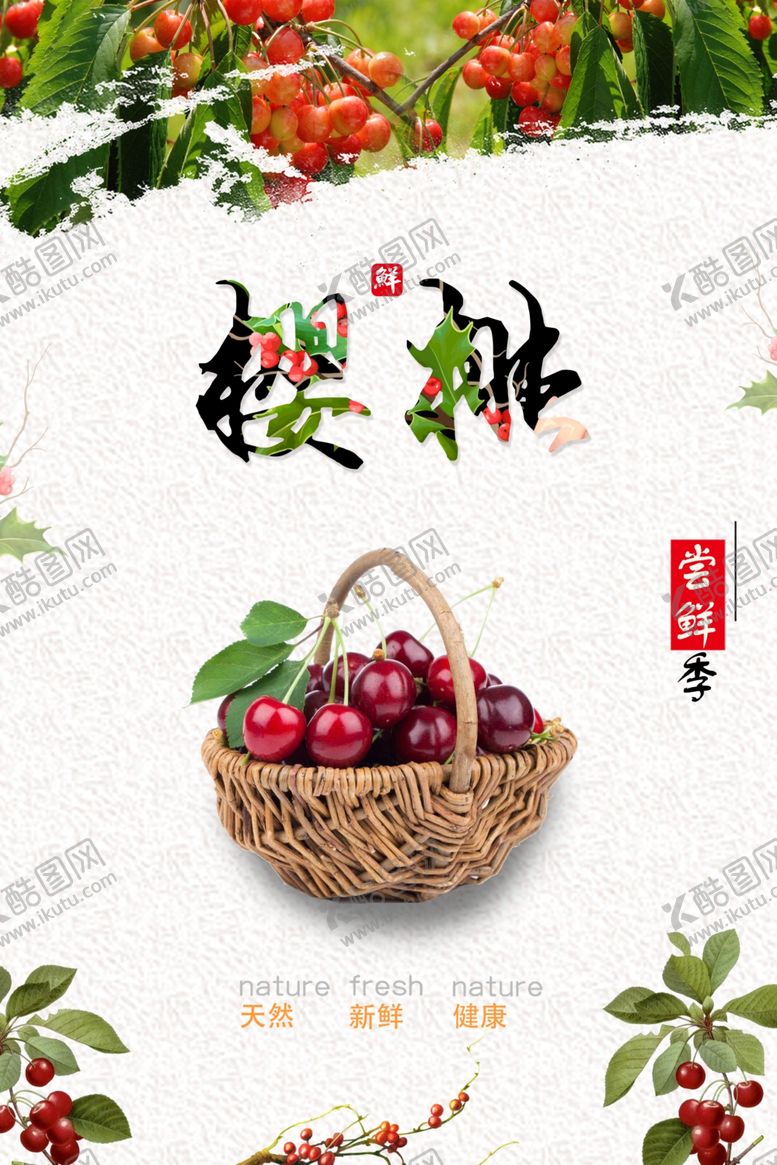 编号：15915602130614356801【酷图网】源文件下载-樱桃采摘
