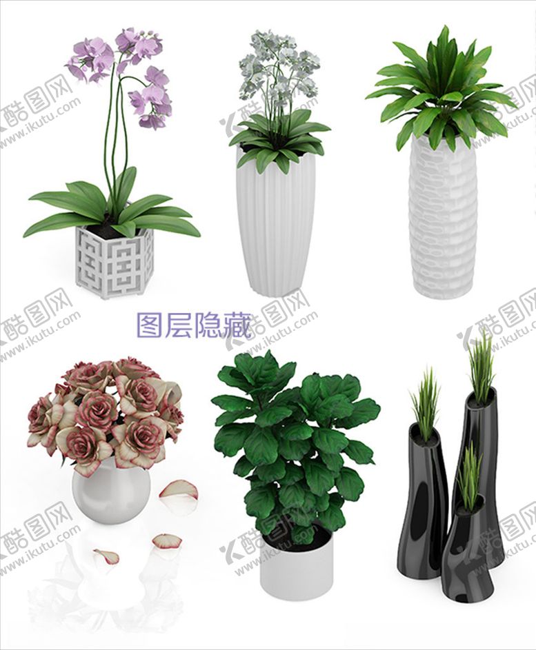 编号：64506507051358257696【酷图网】源文件下载-植物盆栽