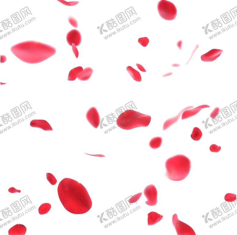 编号：19846207080237098655【酷图网】源文件下载-玫瑰花瓣
