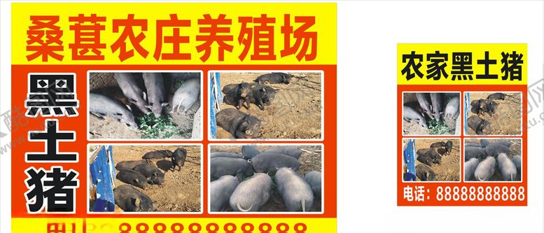 编号：45133510182302273872【酷图网】源文件下载-黑土猪养殖场