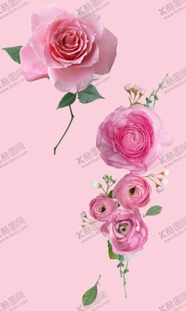 编号：91967409290012408824【酷图网】源文件下载-花朵