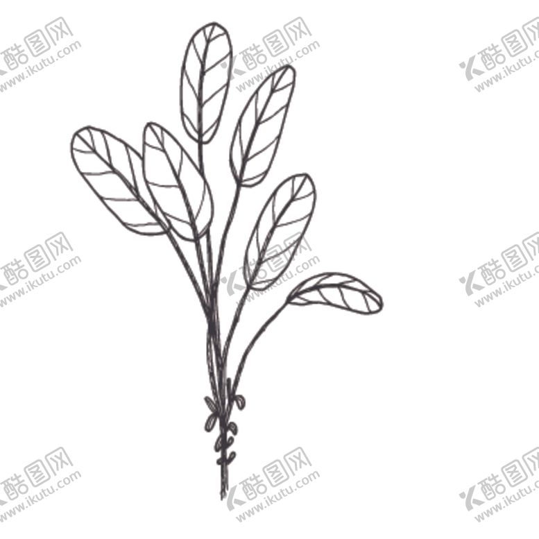 编号：30591807081021113206【酷图网】源文件下载-简笔绘画植物花朵图谱