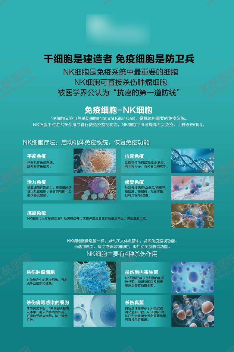 编号：25956807161152074146【酷图网】源文件下载-干细胞宣传海报