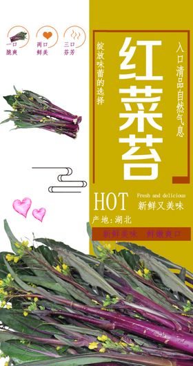 红菜苔小常识吊旗