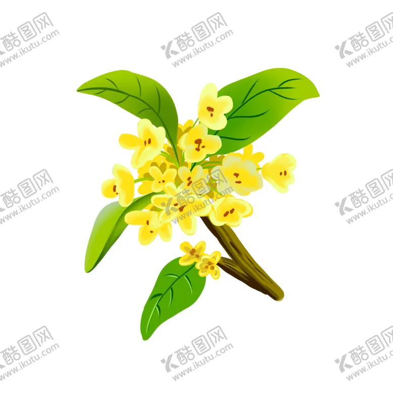 编号：13765402101640134638【酷图网】源文件下载-手绘桂花png免抠素材