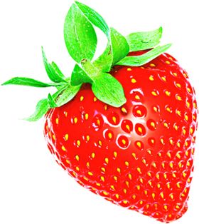 草莓