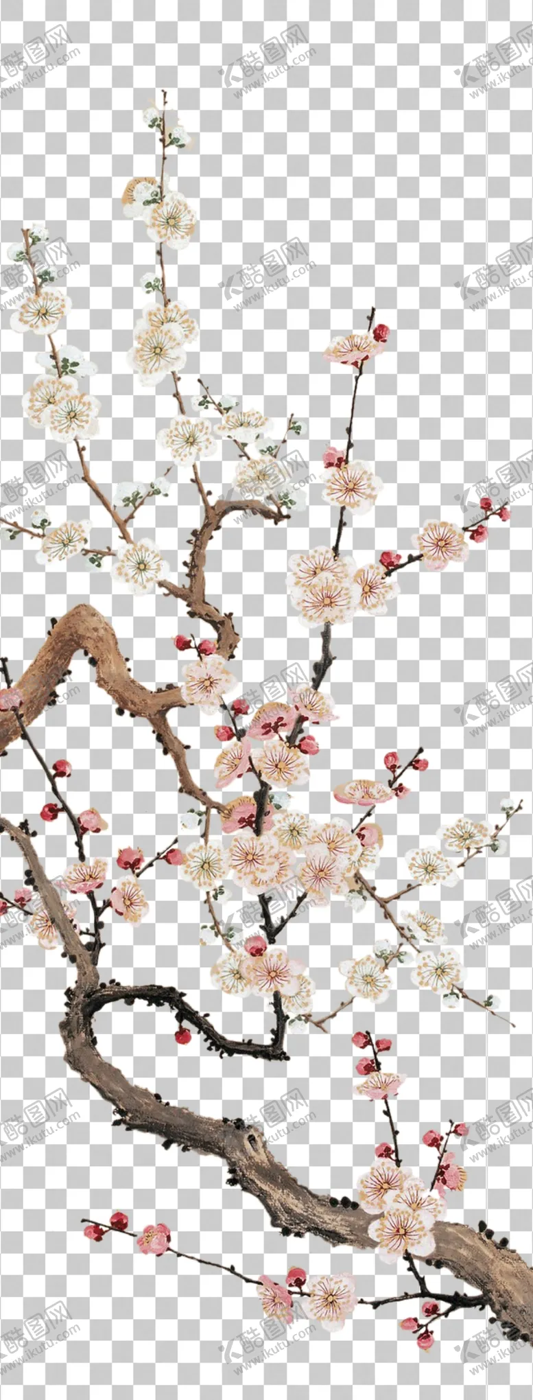 编号：89601503261946044069【酷图网】源文件下载-透明底梅花
