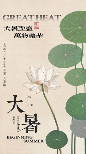 简约大暑节气海报